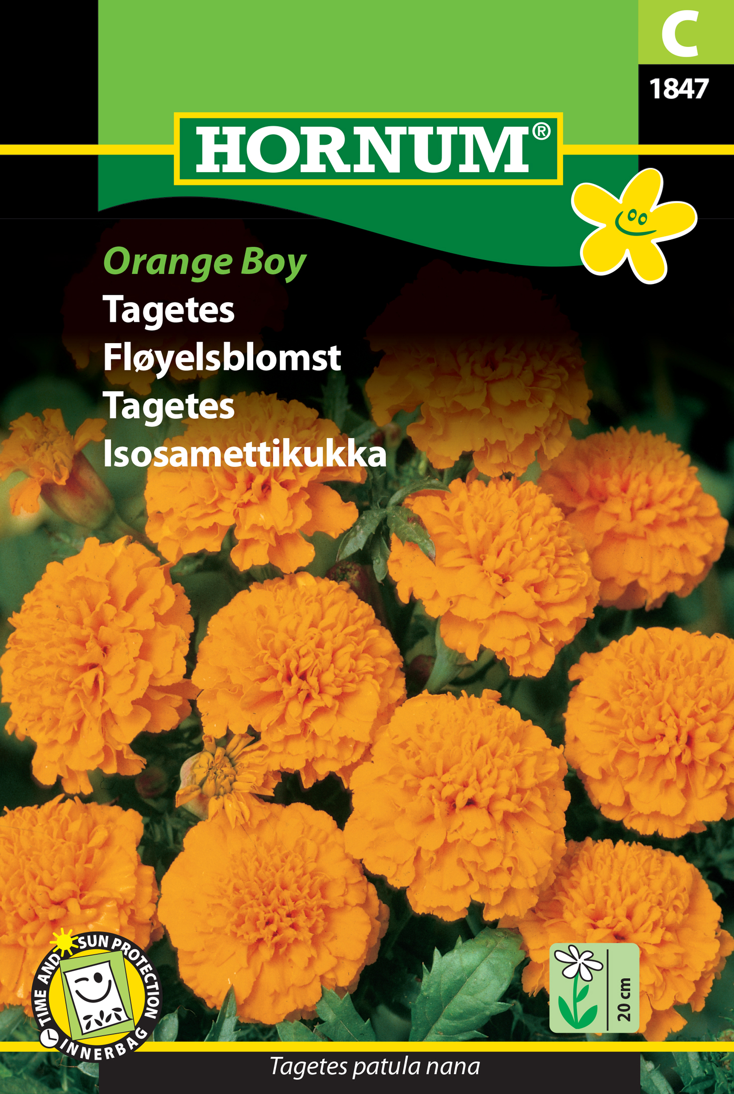 Fræ Flauelsblóm Tagetes patula nana Orange Boy