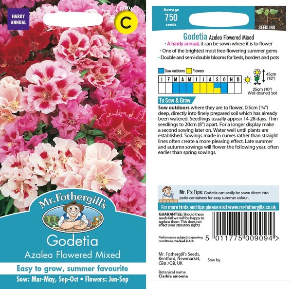 Fræ Godetia Azalea flowered mix