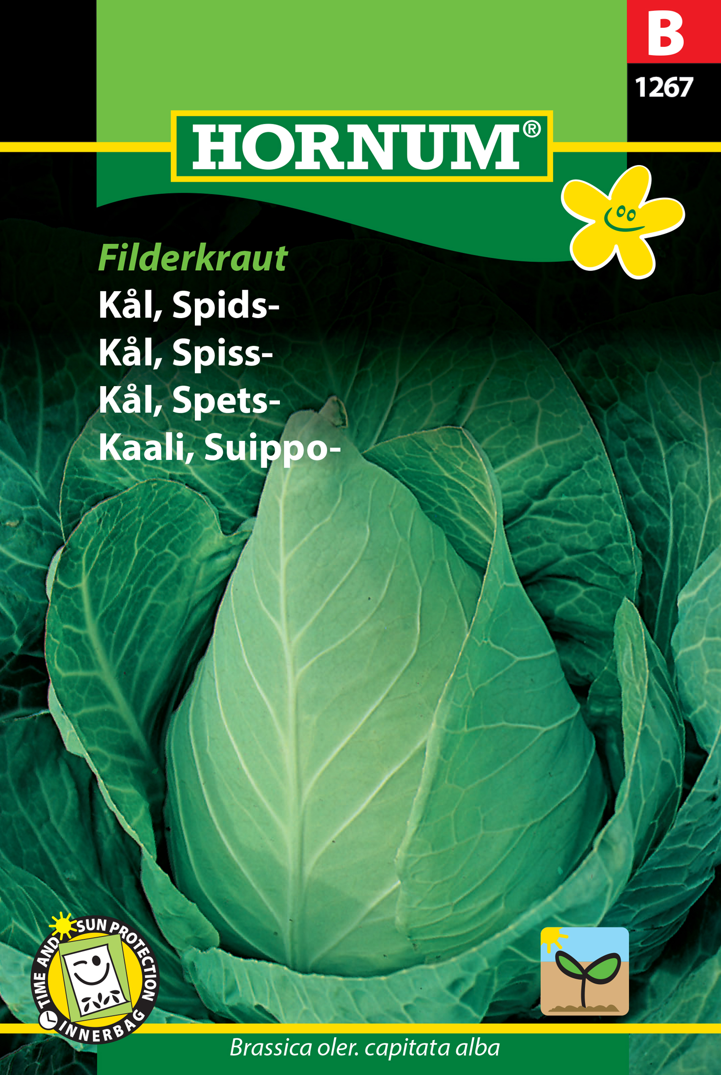 Fræ Hvítkál Brassica oler. Capitata alba Filderkraut