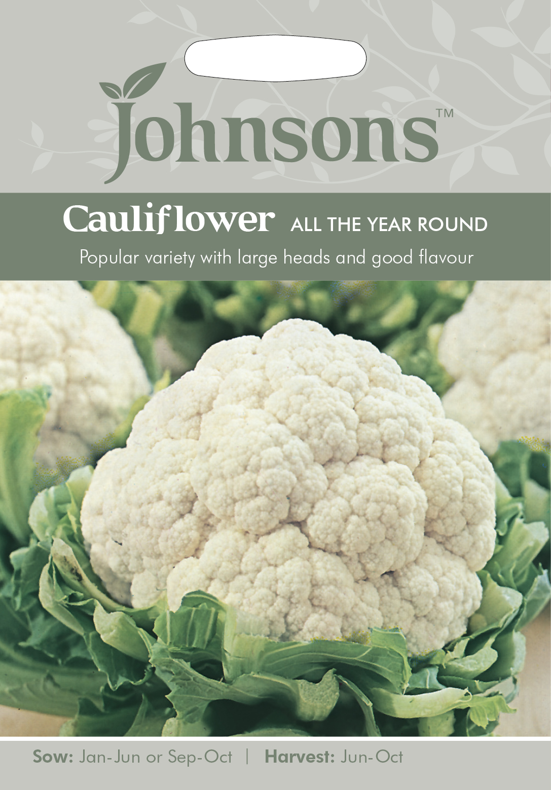 Fræ Cauliflower All The Year Round