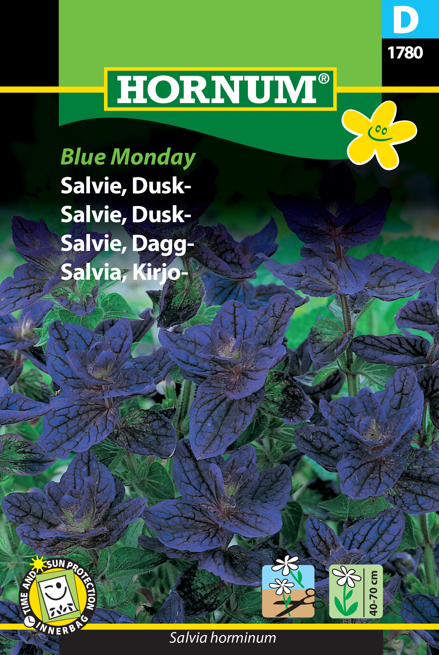 Fræ Salvía Salvia horminum Blue Monday