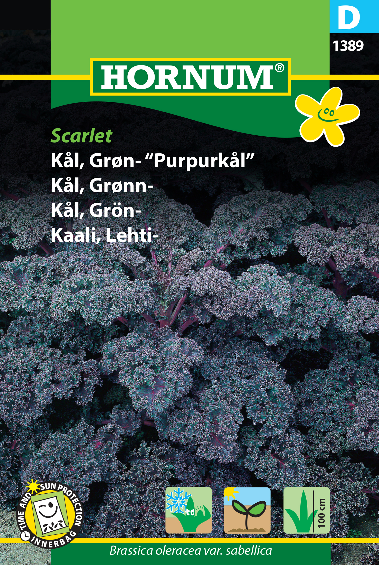 Fræ Grænkál Brassica olracea var. sabellica Scarlet