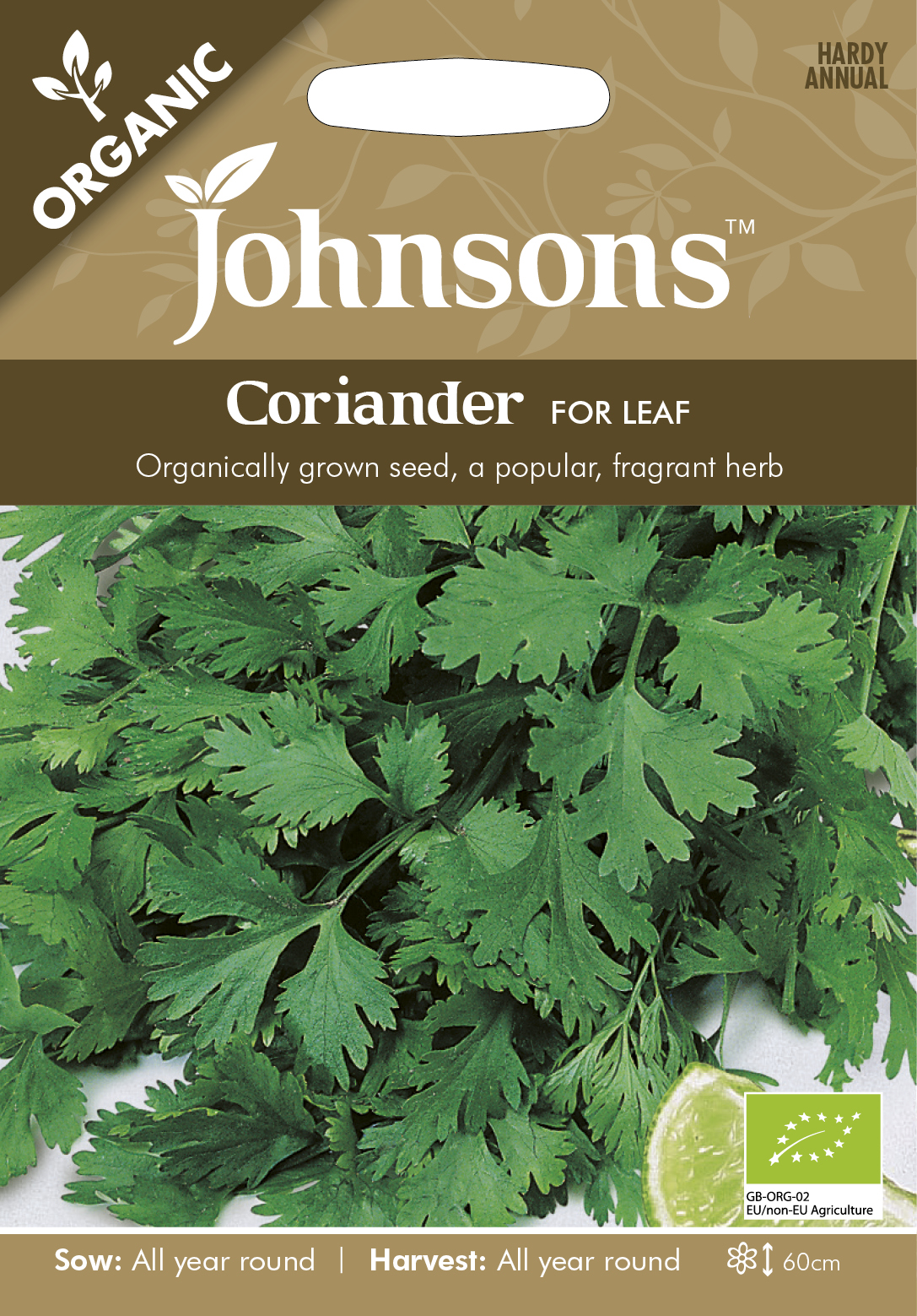 Fræ Coriander Cilantro for Leaf Organic