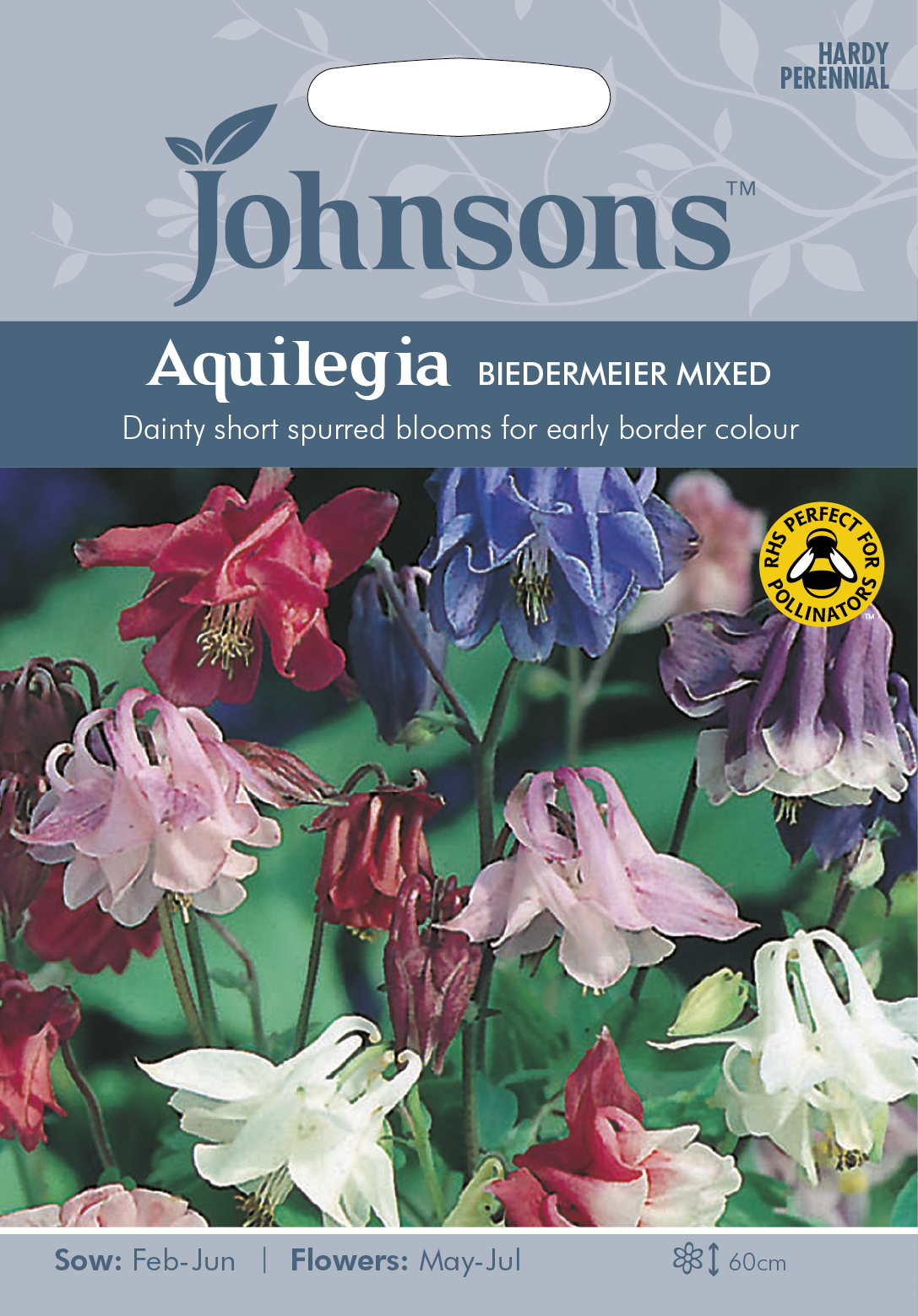 Fræ Aquilegia Biedermeier Mixed