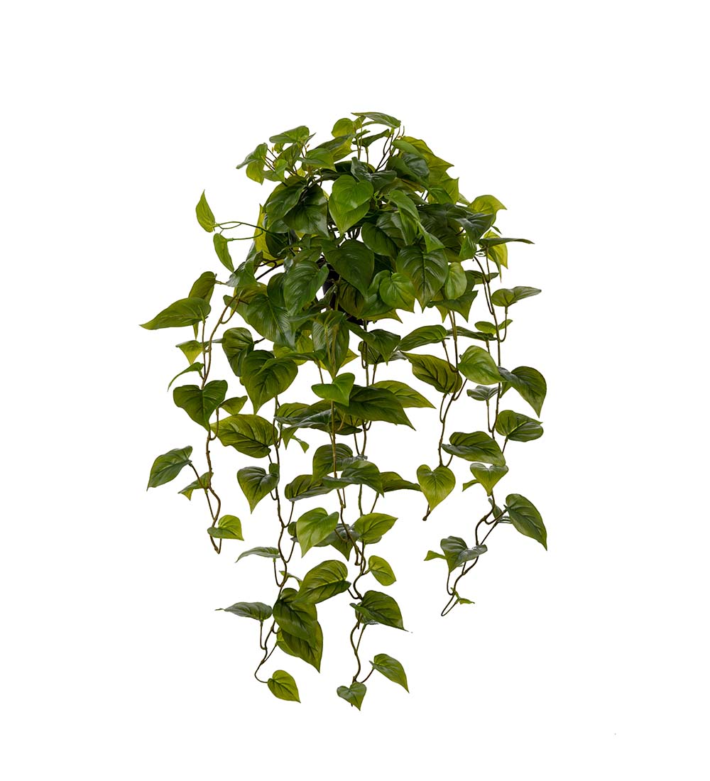 Gervi Epipremnum Aureum/Mánagull 30cm