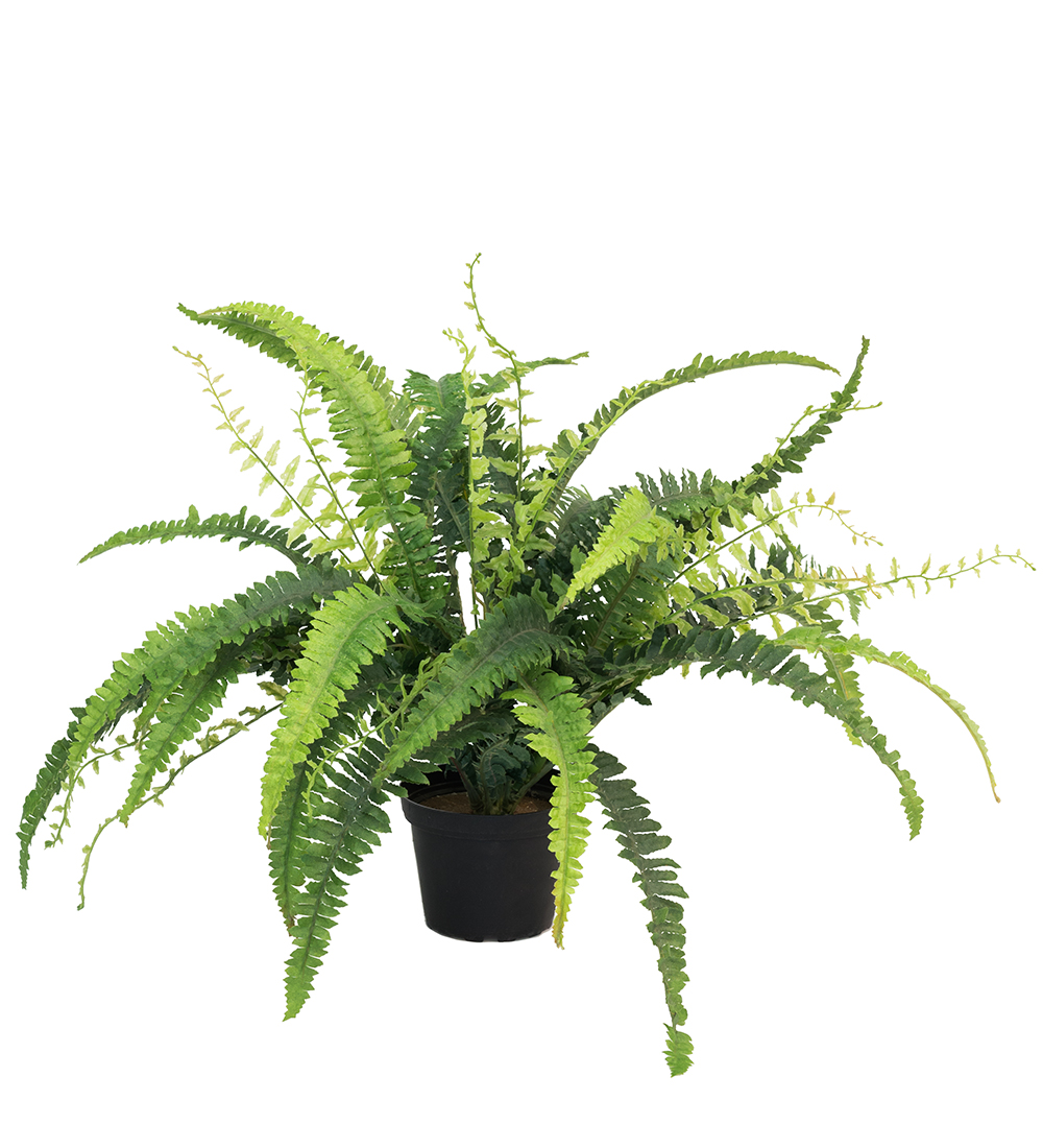 Gervi Burkni í pt. 41cm