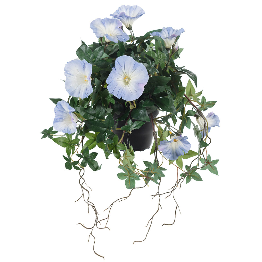 Gervi Ipomoea blá í pt. 45cm