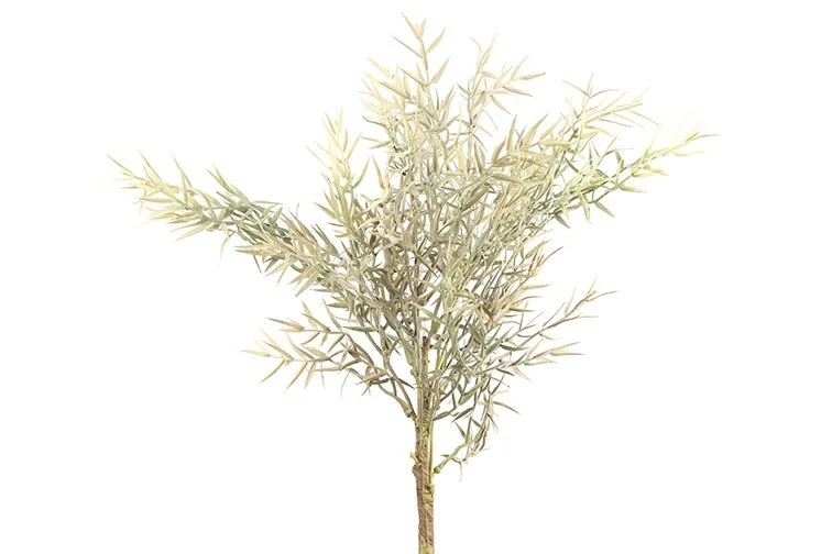 Gervi fargasia 20*h78cm ljós græn