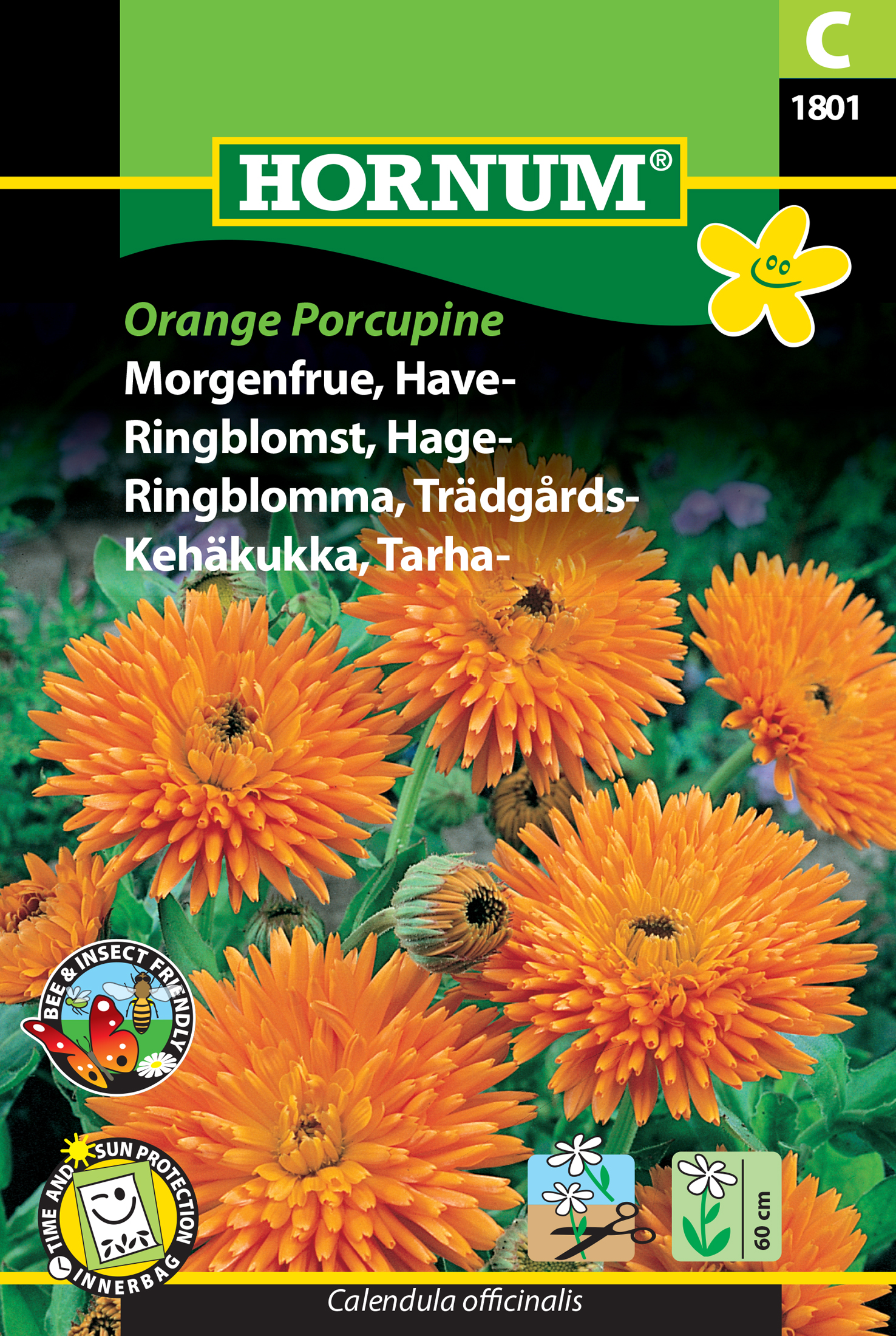 Fræ Morgunfrú Calendula officinalis Orange Porcupine