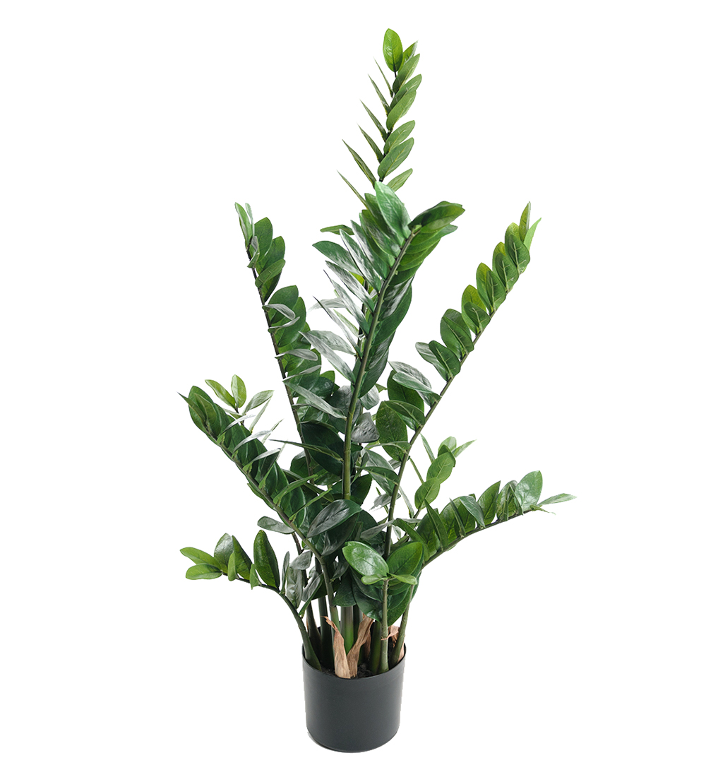 Gervi Zamioculcas Zamiifolia/Sómakólfur 110cm