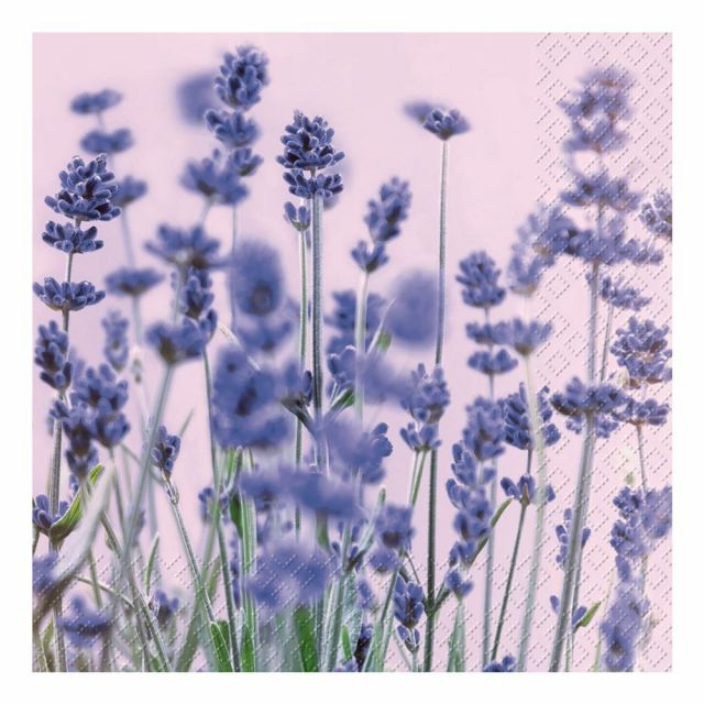 Servíettur Violet 33*33cm