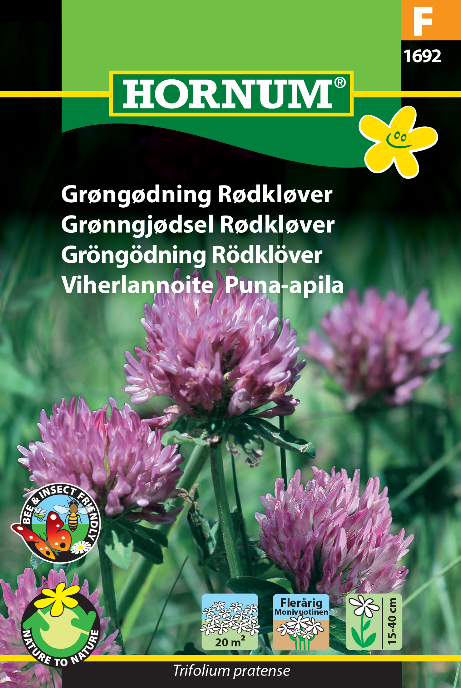 Fræ Rauðsmári Trifolium pratense