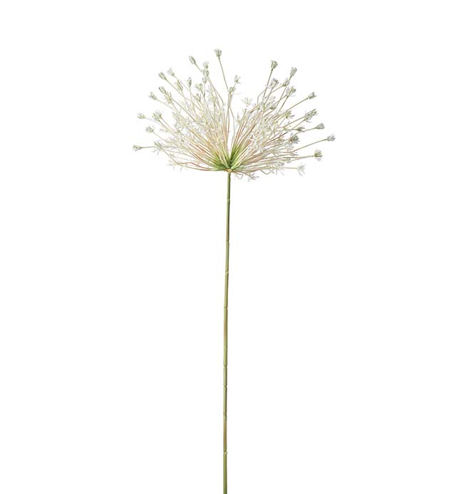 Gervi Allium 125cm hvítt