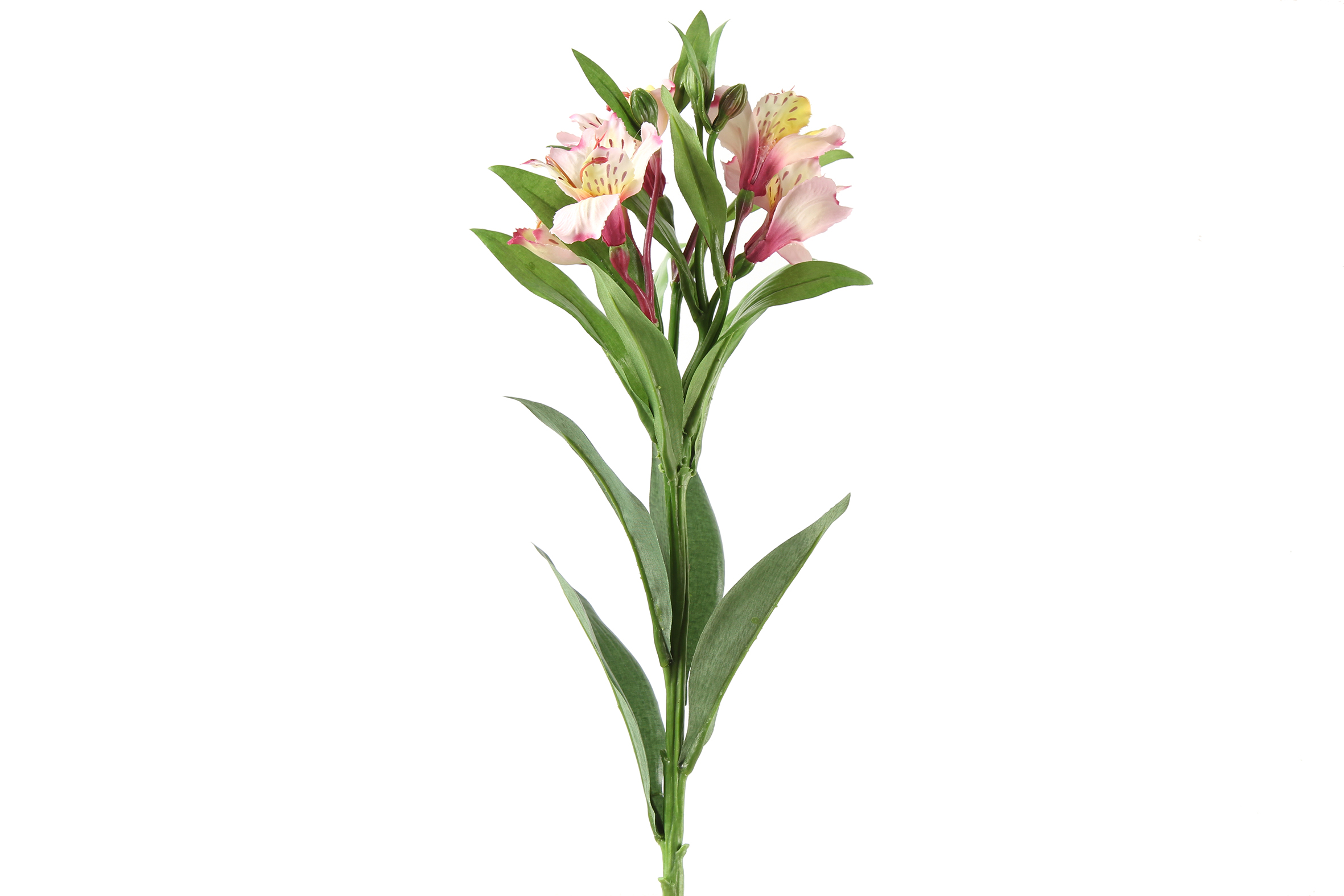 Gervi grein Alstromeria hvít