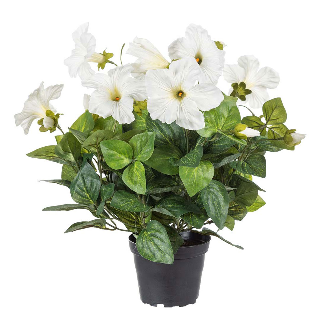 Gervi Petunia hvít í pt. 30cm