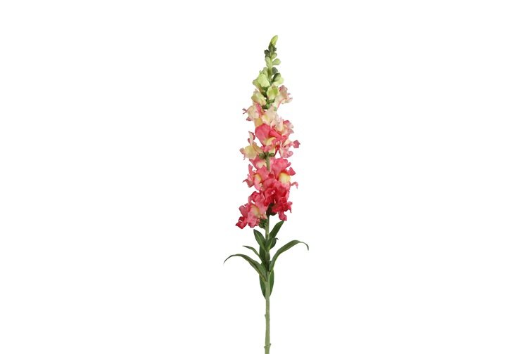 Gervi Antirrhinum majus 92cm dökk bleikt