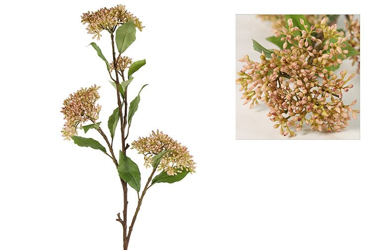 Gervi Organum vulgare Veer bleikt