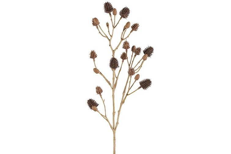 Gervi Eryngium 57cm brúnt