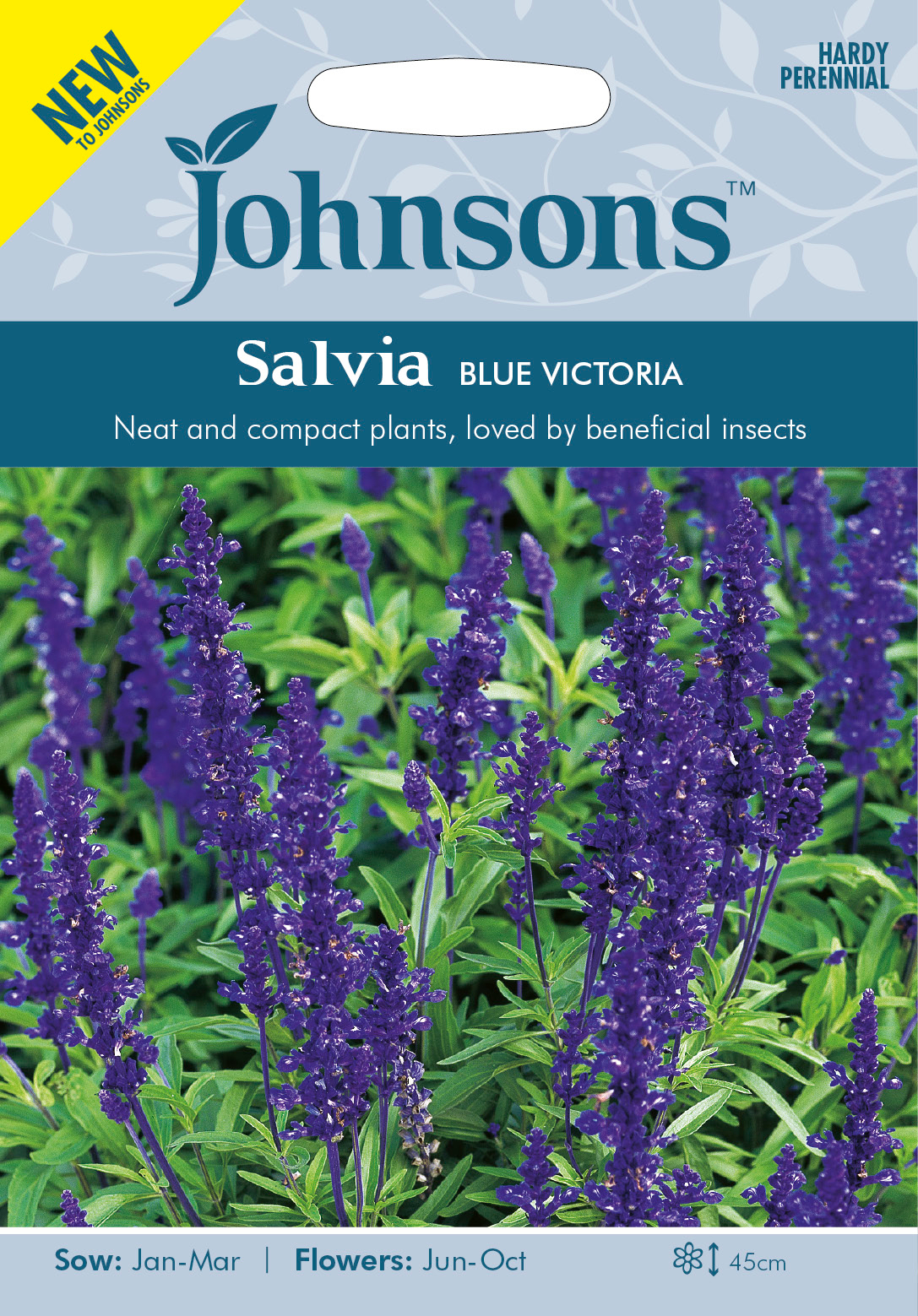 Fræ Salvia Blue Victoria