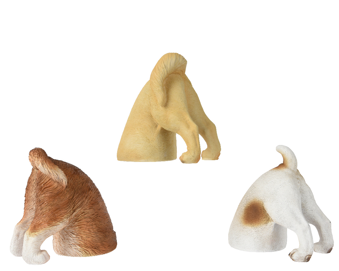 Stytta hundaafturendi 11*18*h18cm