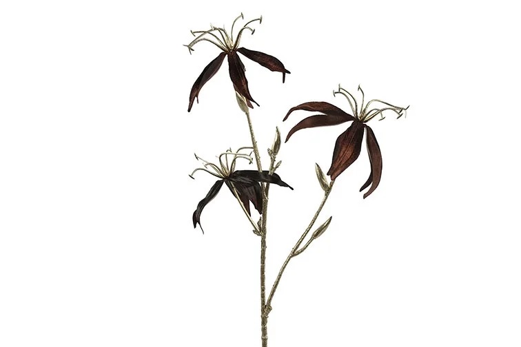 Gervi gloriosa 61cm dökk brún