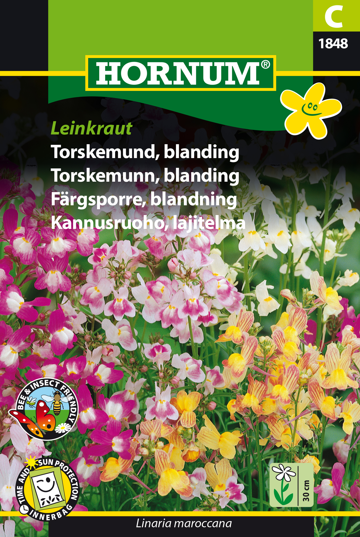 Fræ Þorskagin Linaria maroccana