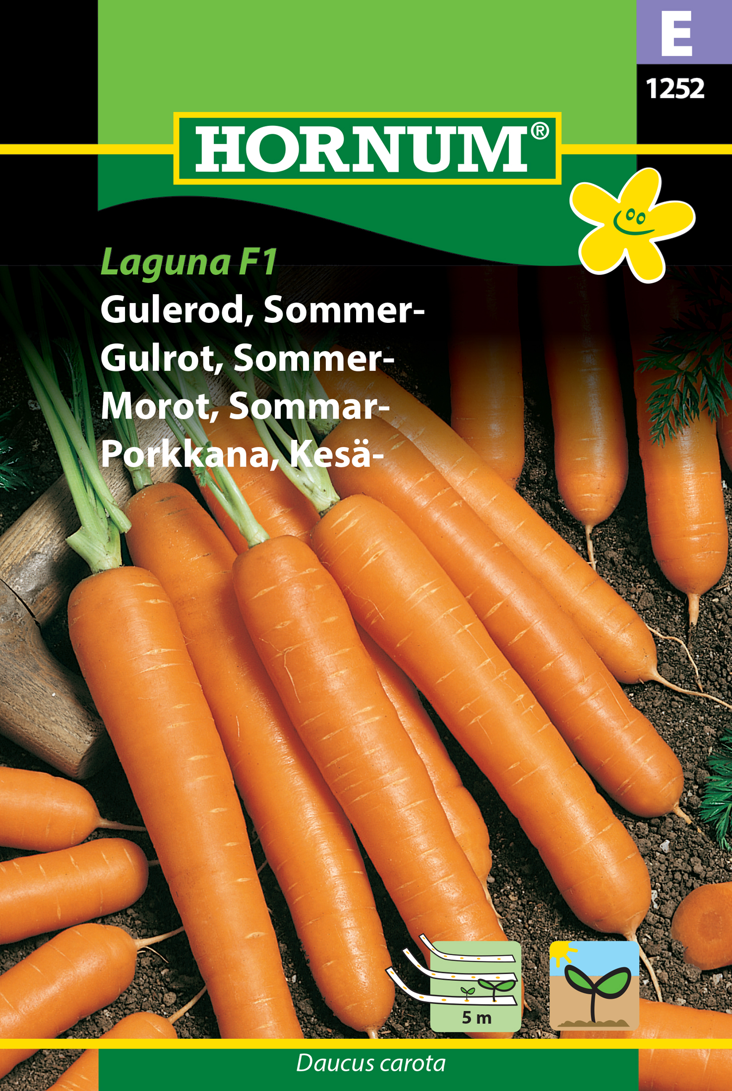 Fræ Gulrætur Daucus carota Laguna F1