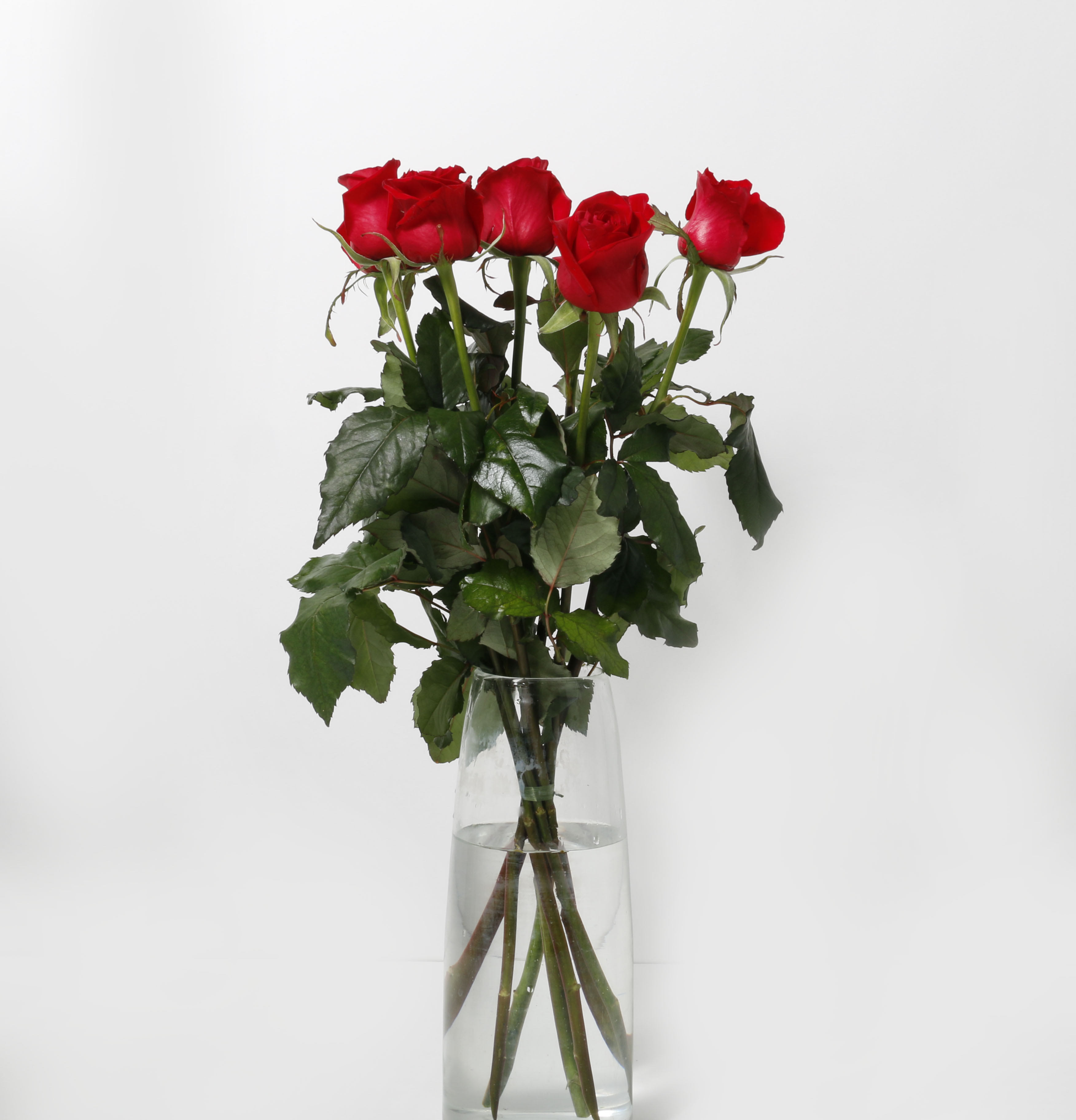 Rósir rauðar 60cm 7stk.