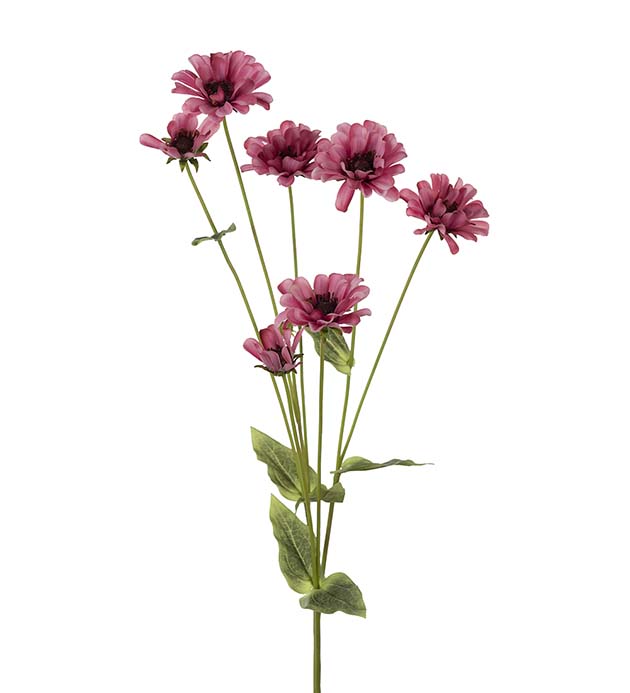 Gervi Zinnia 90cm bleik