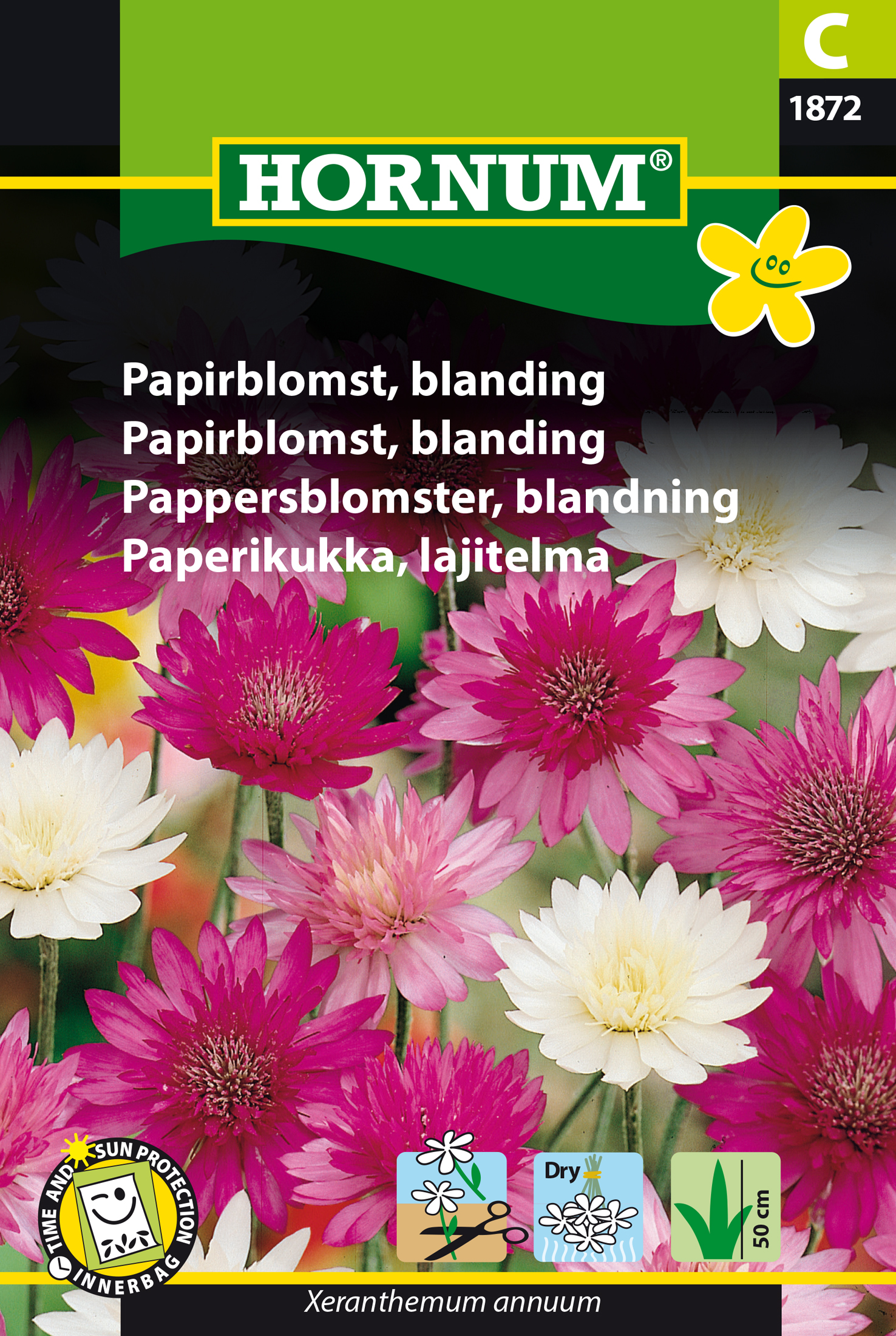 Fræ Pappírsblóm Xeranthemum annuum