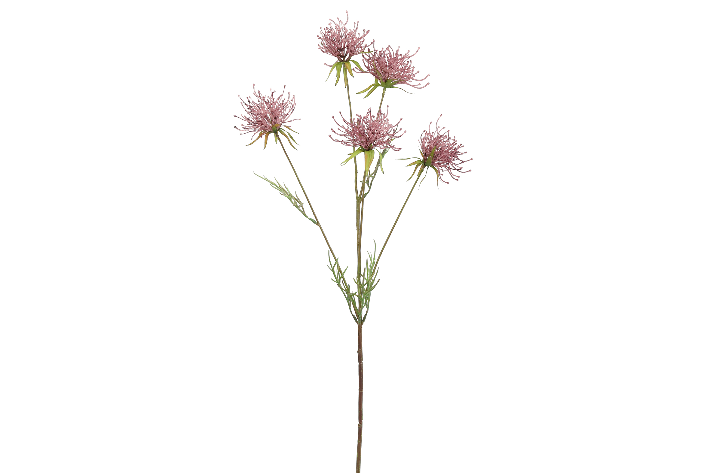 Gervi Hakea 75cm ljós fjólublátt