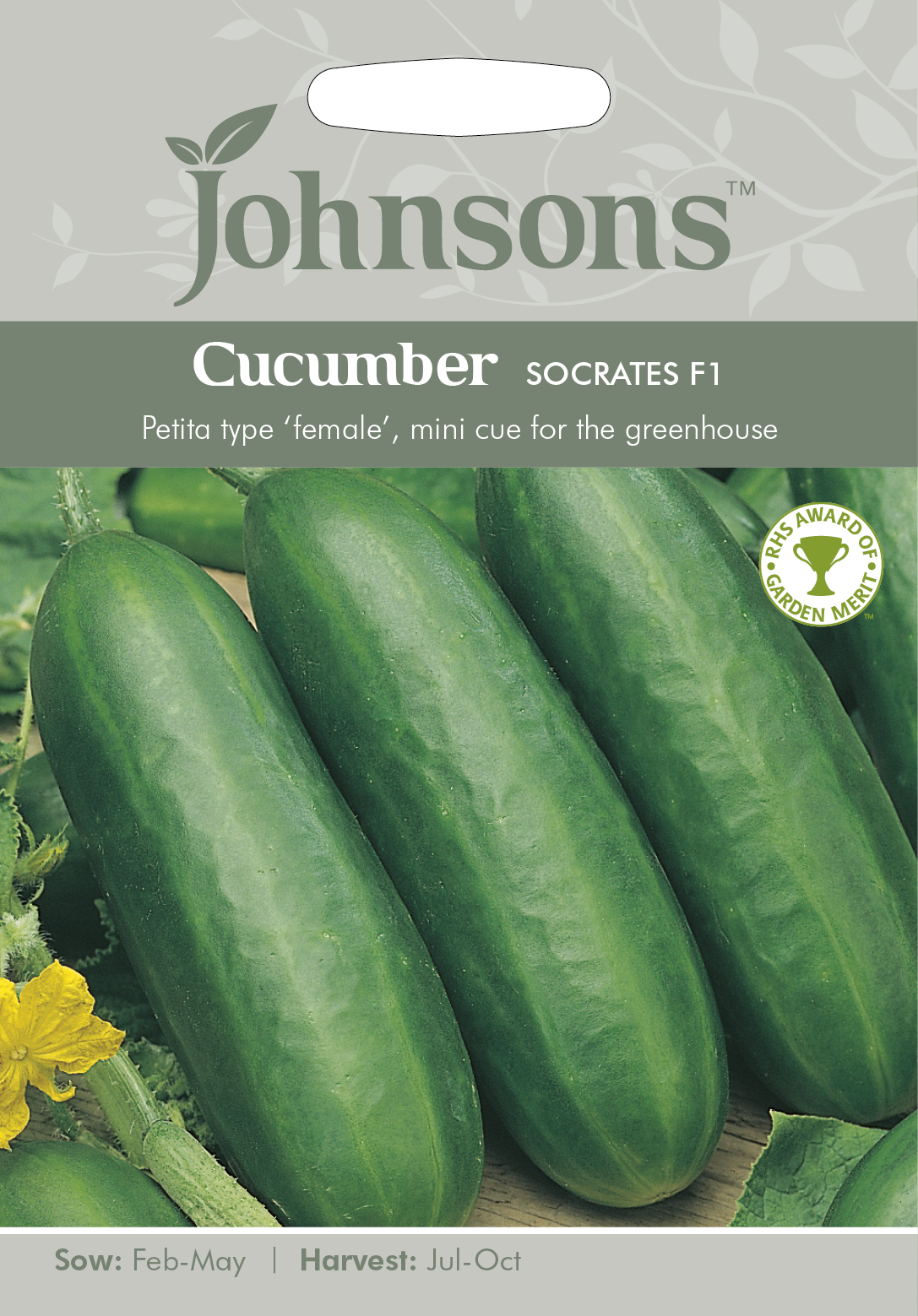 Fræ Cucumber Socrates F1