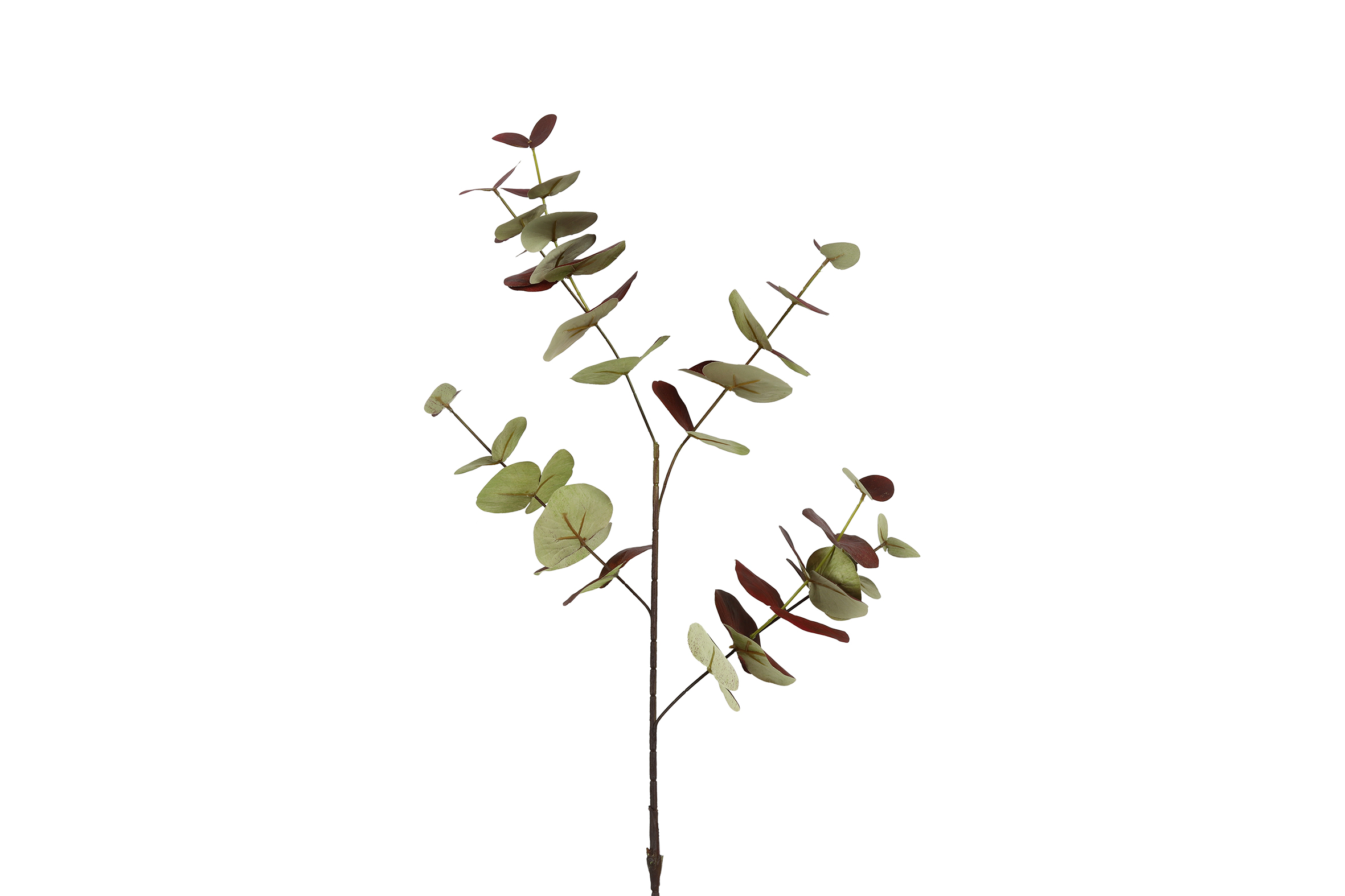 Gervi Eucalyptus 99cm fjólublá