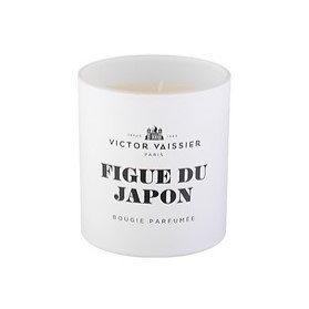 Ilmkerti Victor Vaissier 'Fugue du Japon' 220g