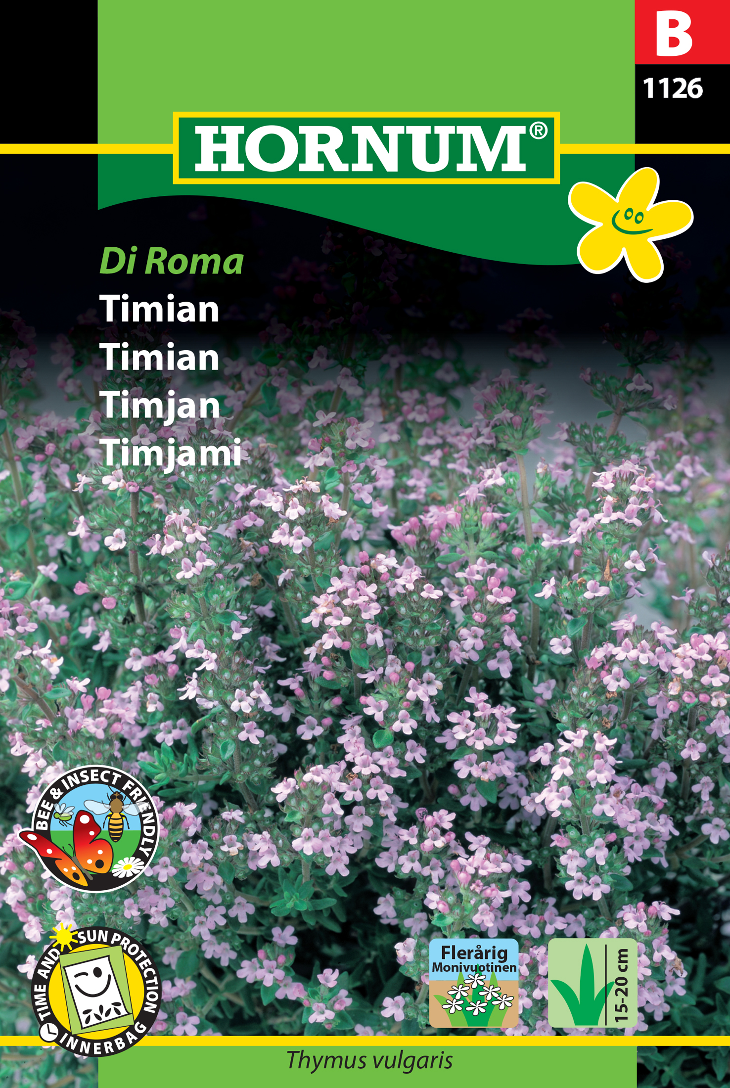 Fræ Timían Thymus vulgaris Di Roma