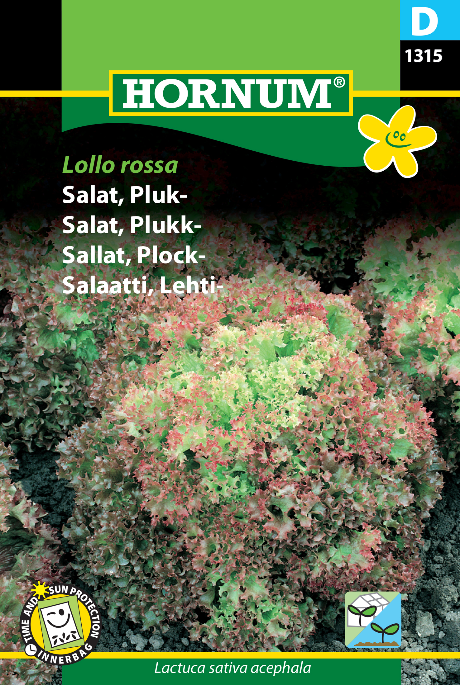 Fræ Höfuðsalat Lactuca sativa acephala Lollo Rossa
