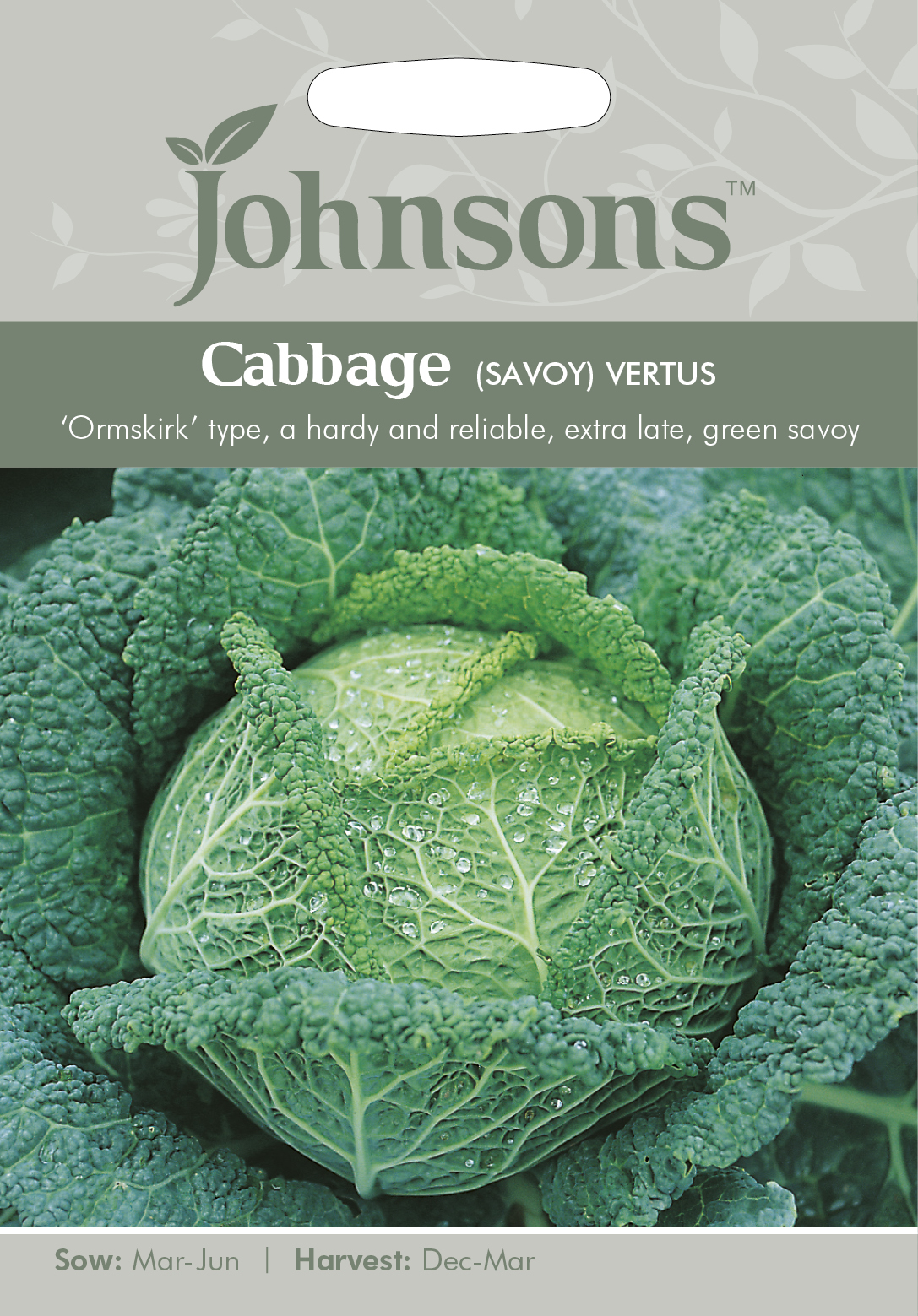 Fræ Cabbage (Savoy) Vertus