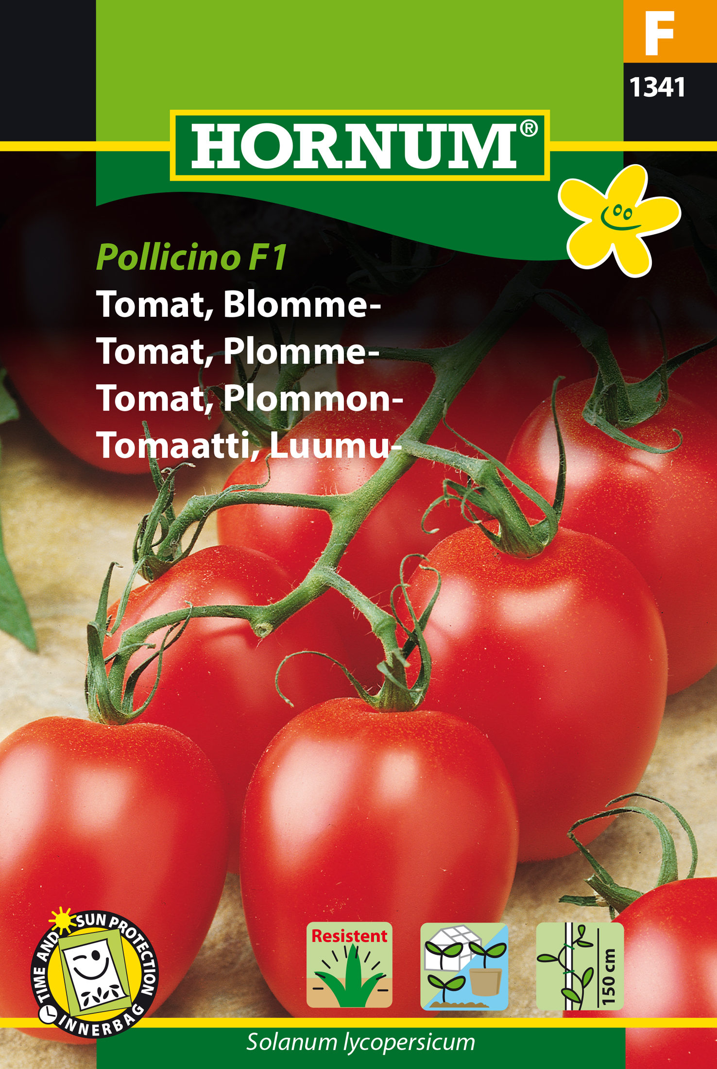 Fræ Tómatar Solanum lycopersicum Pollicino F1