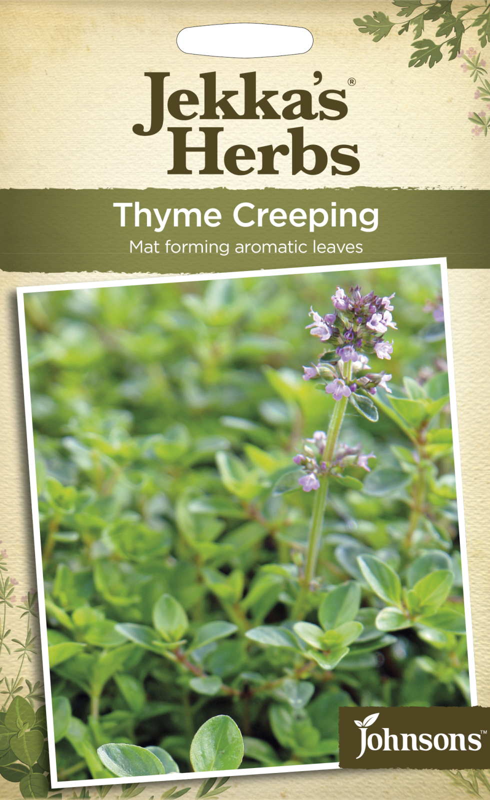 Fræ Thyme Creeping