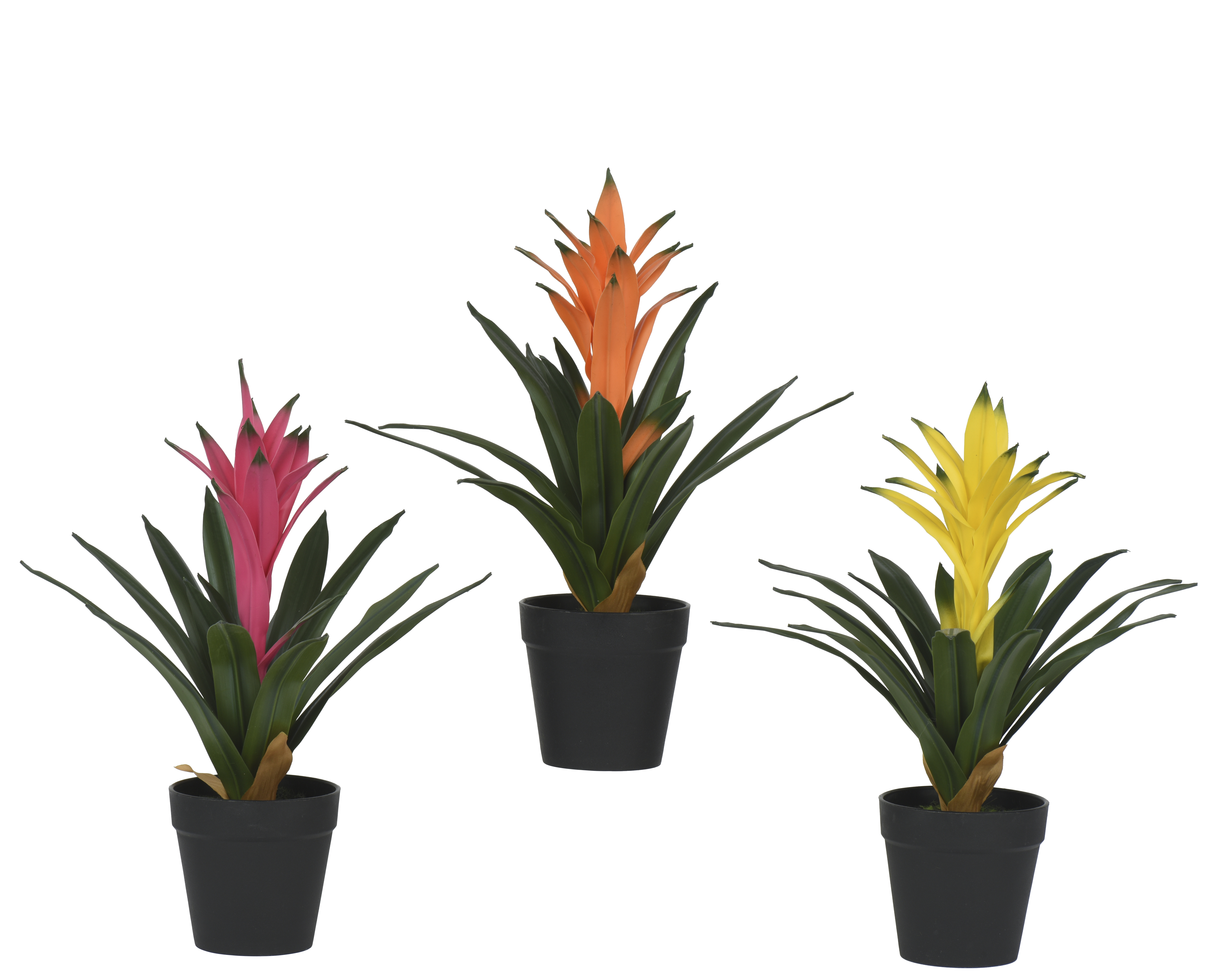Gervi bromelia 32cm 3 litir
