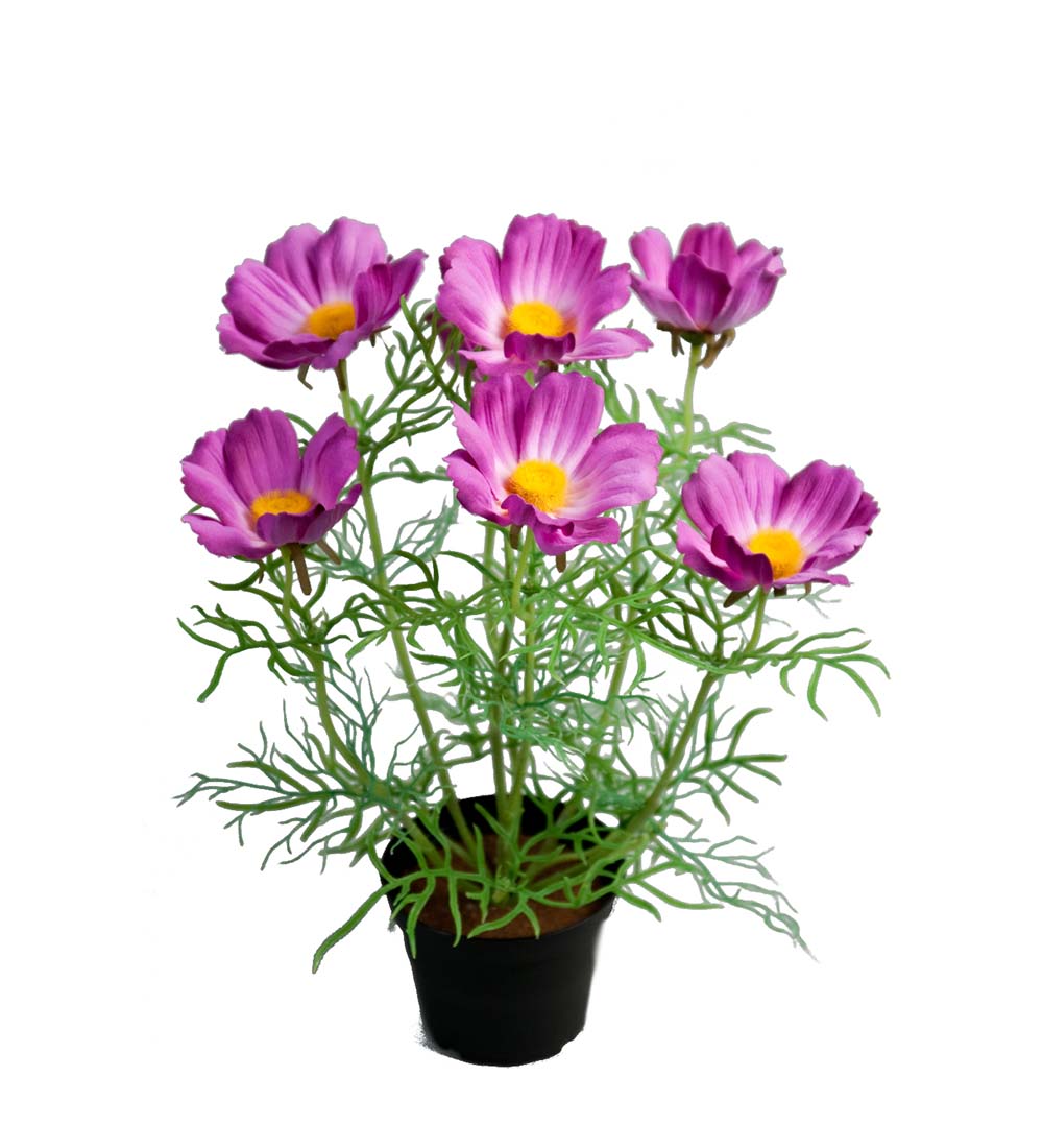 Gervi Rosenskära 40cm í potti bleik