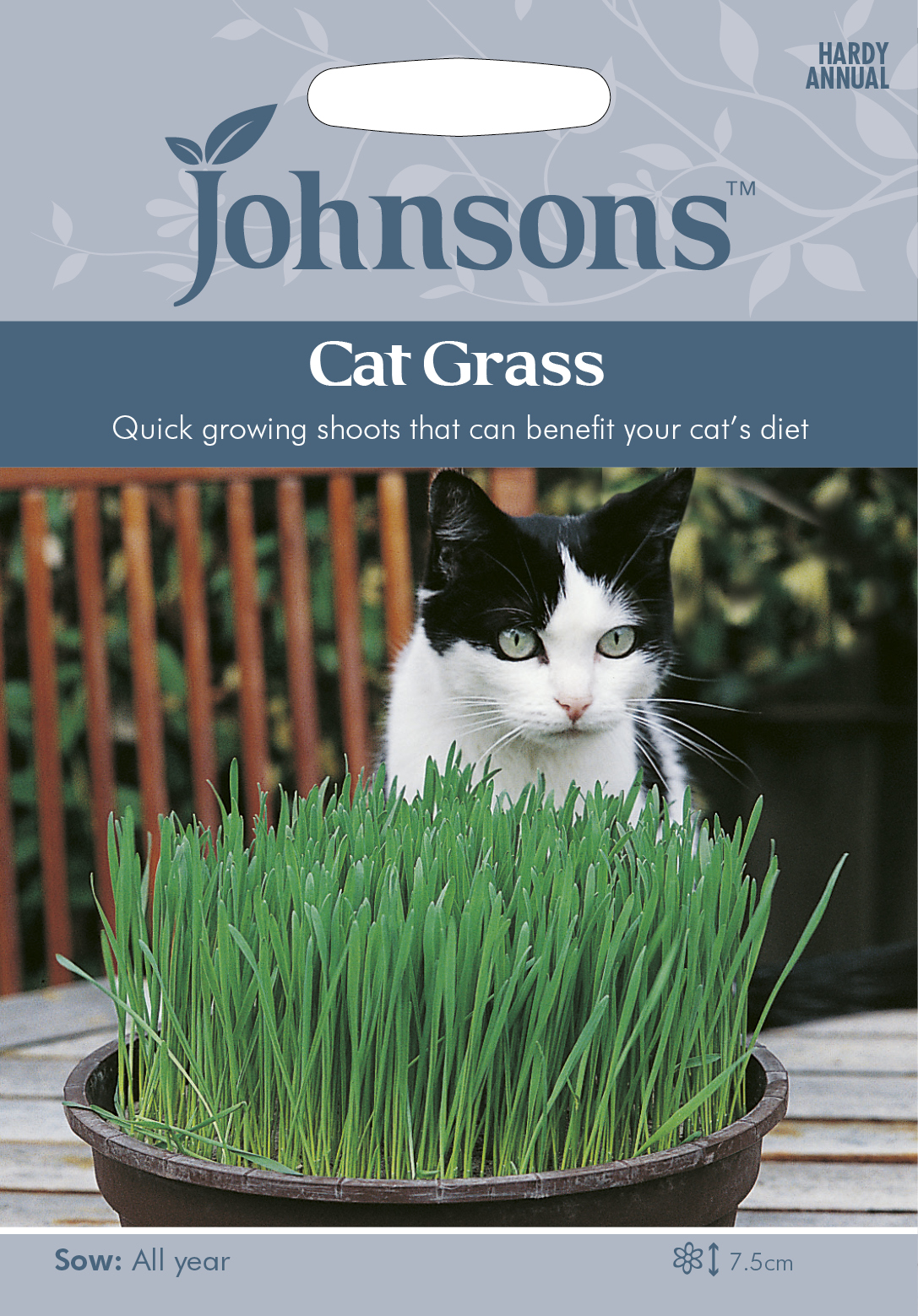 Fræ Cat Grass