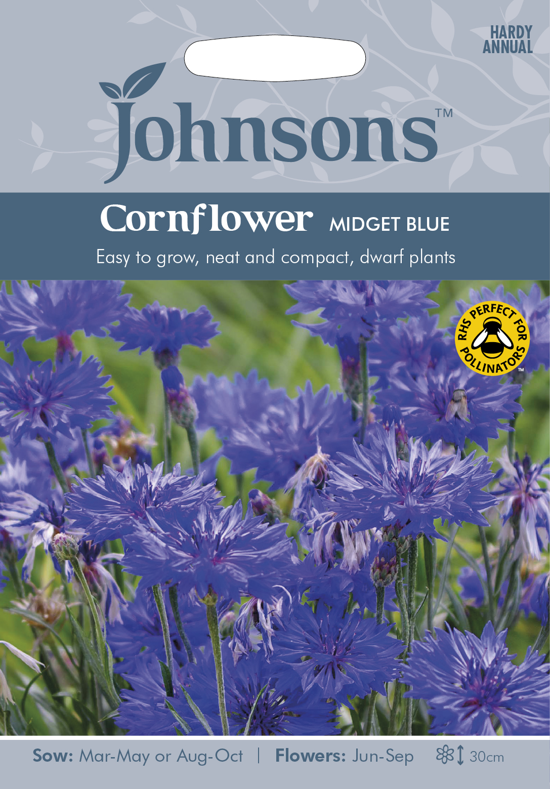 Fræ Cornflower Midget Blue