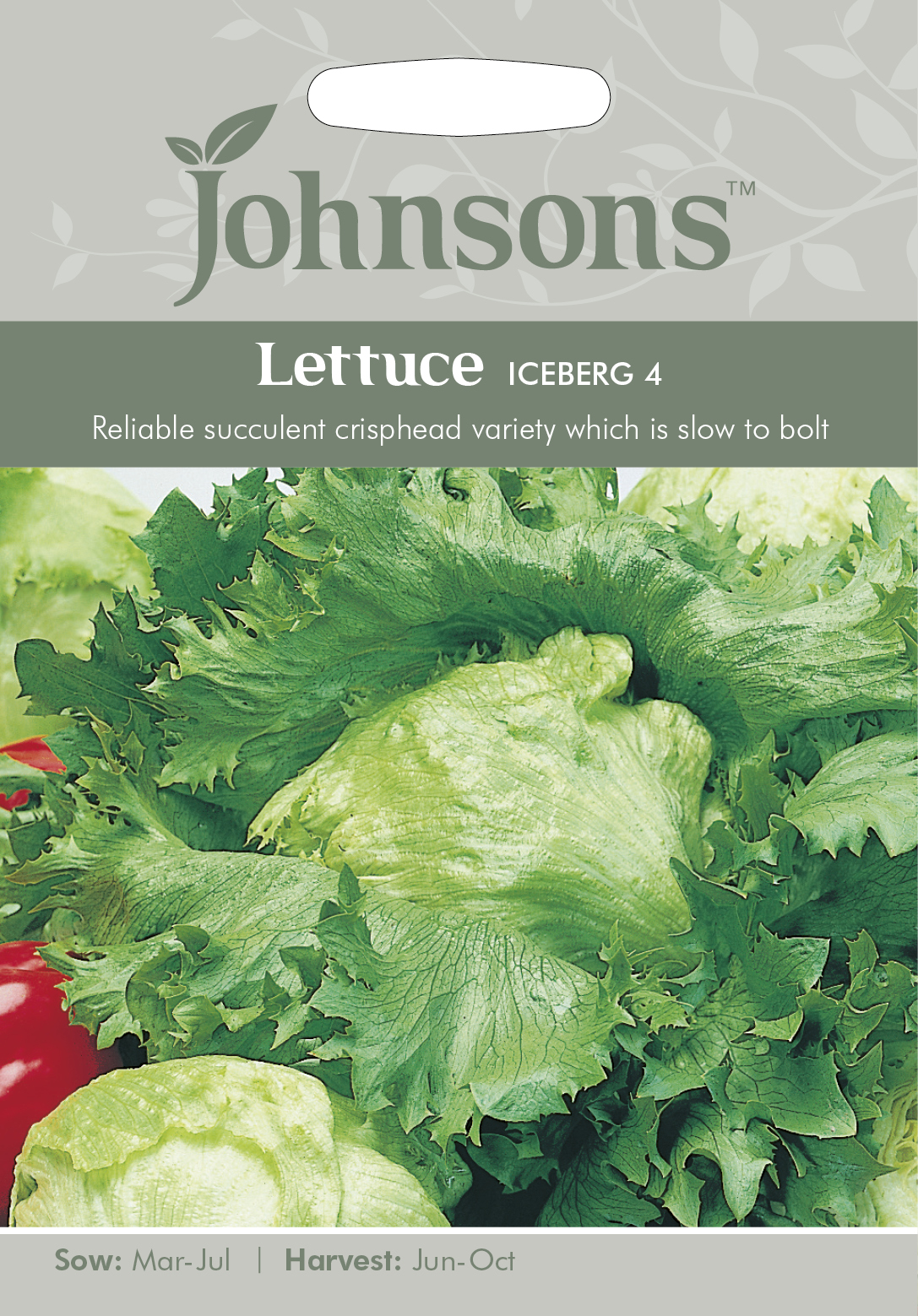 Fræ Lettuce Iceberg 4