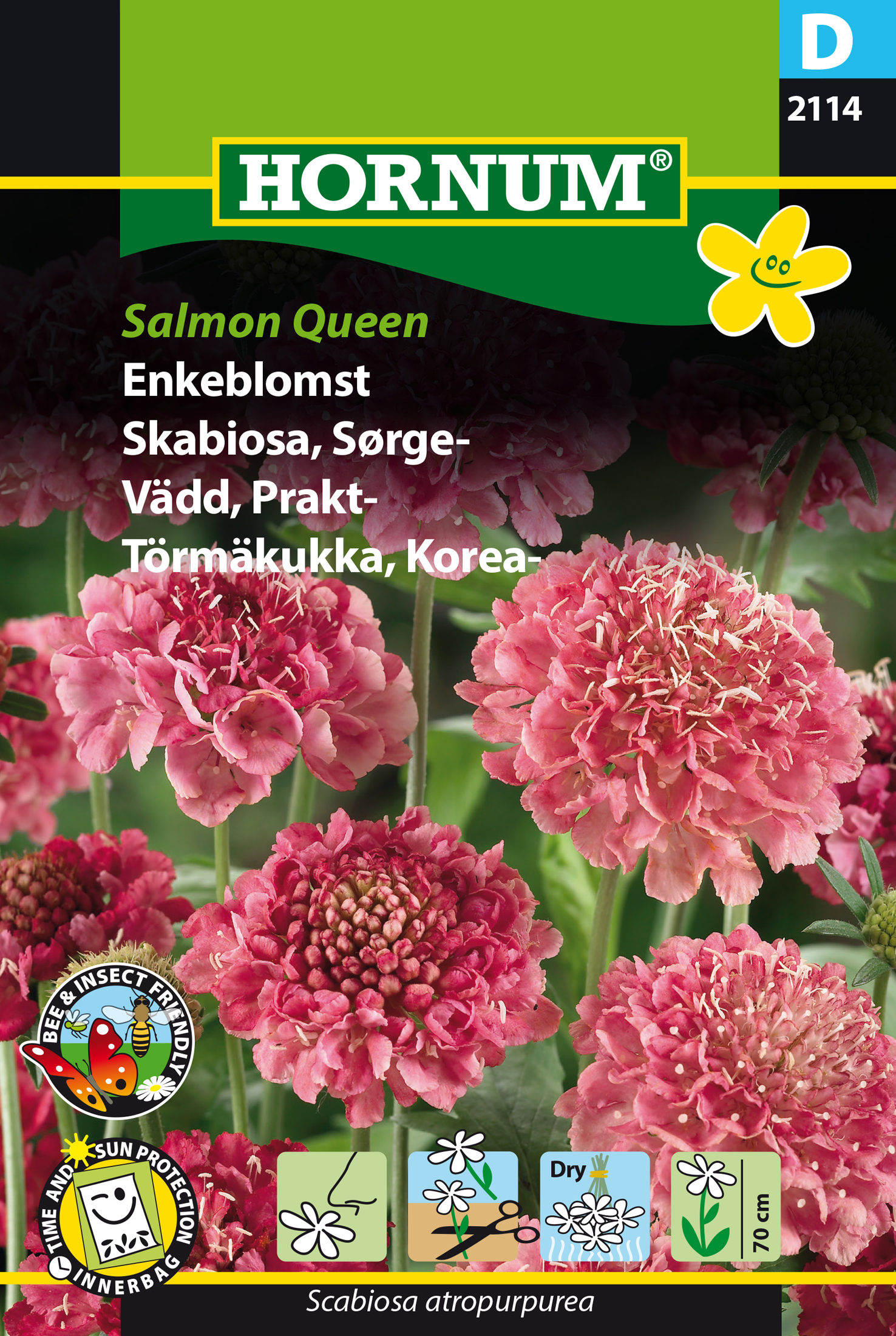 Fræ Ekkjukarfa Scabiosa atropurpurea Salmon Queen