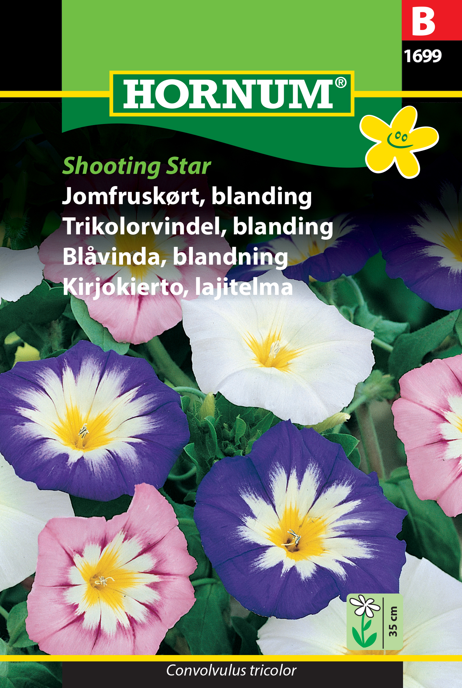Fræ Skrautvafklukka Convolvulus tricolor Shooting Star