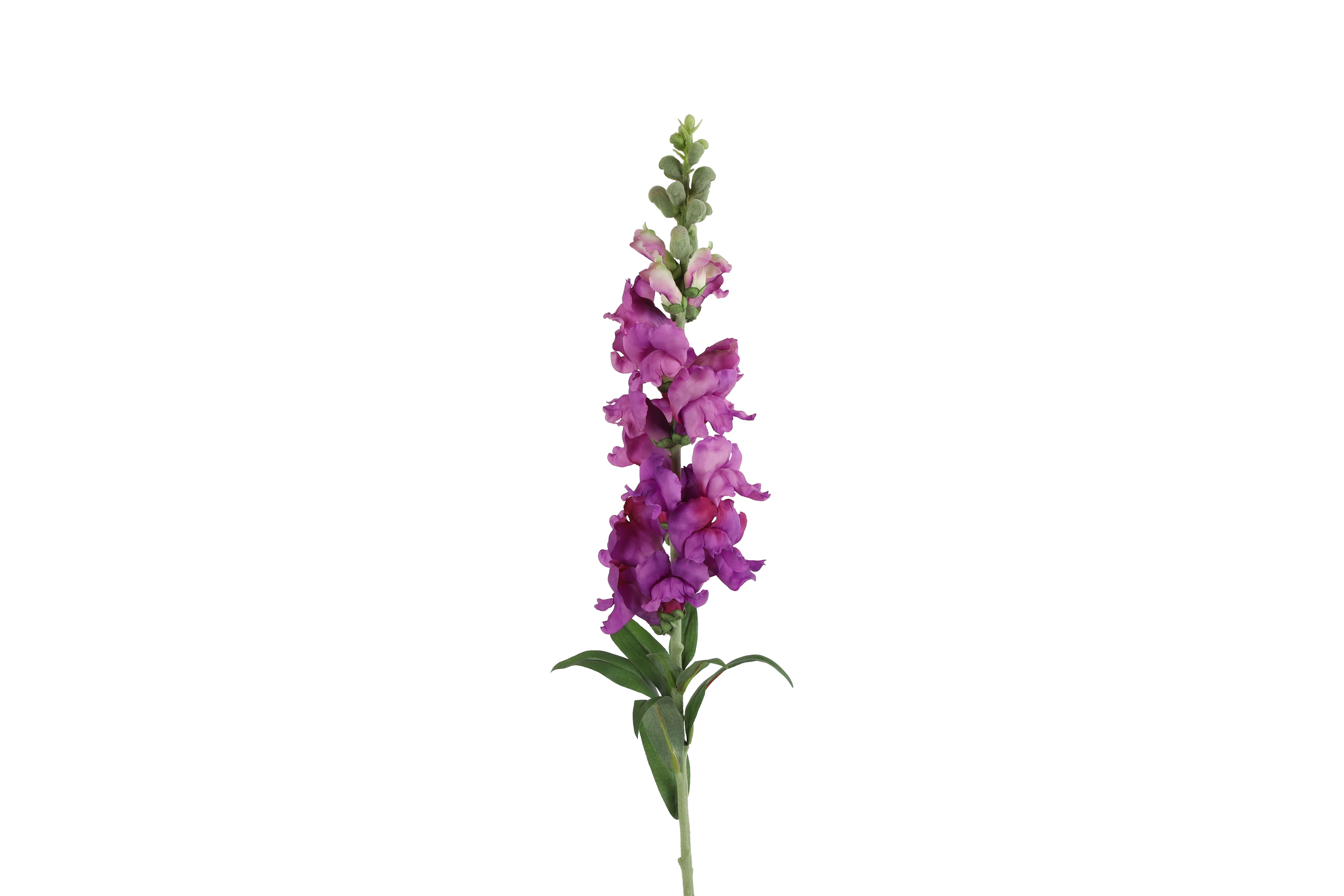 Gervi Antirrhinum majus 92cm fjólublátt