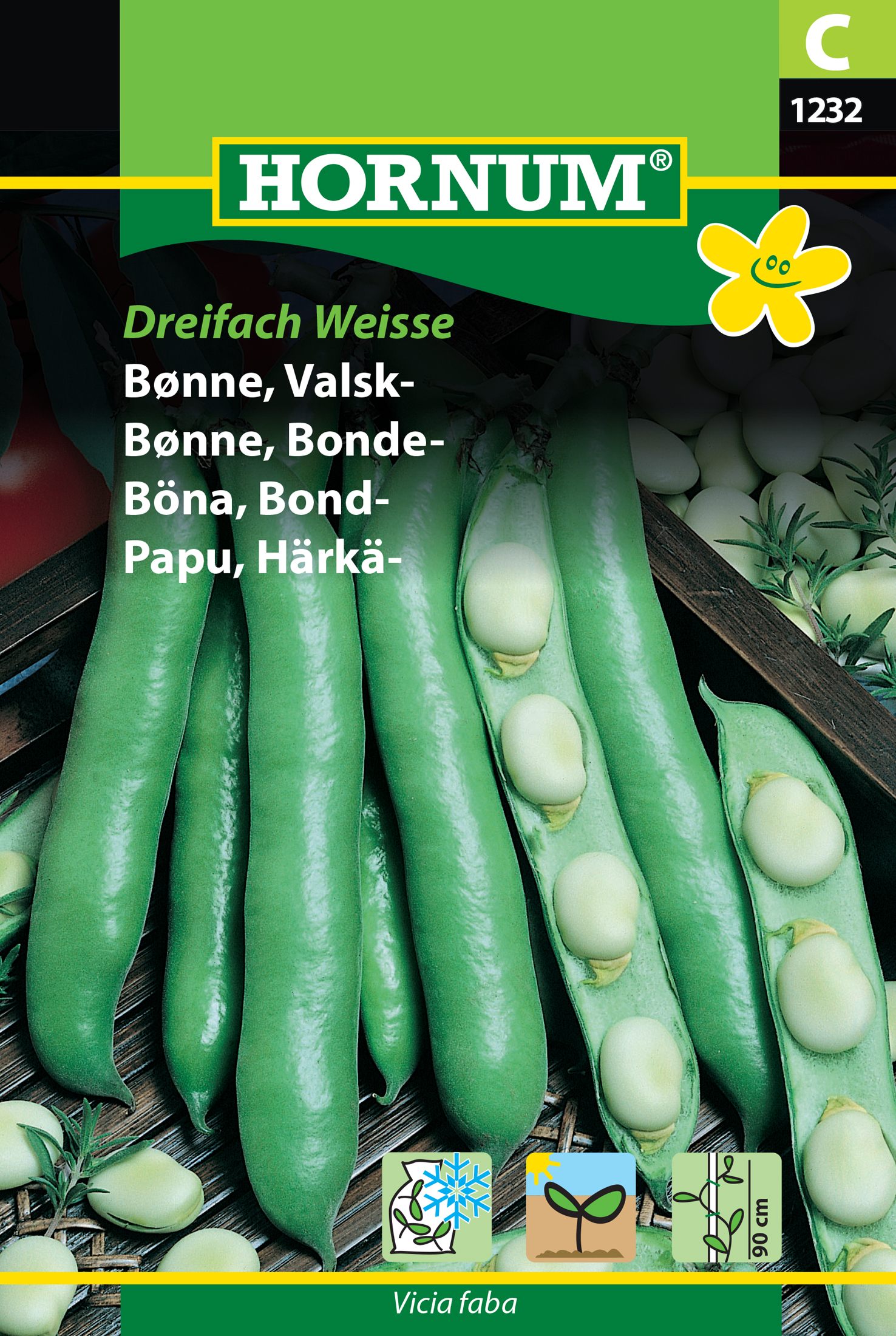 Fræ Bóndabaunir Vicia faba Dreifach Weisse
