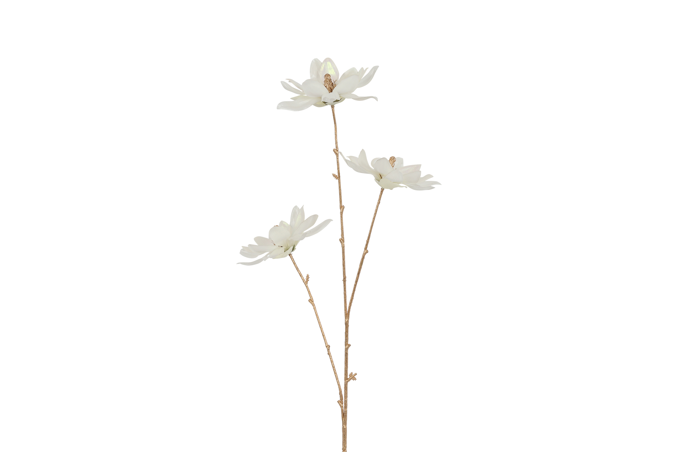 Gervi Magnolia vivaldi s creme 81cm