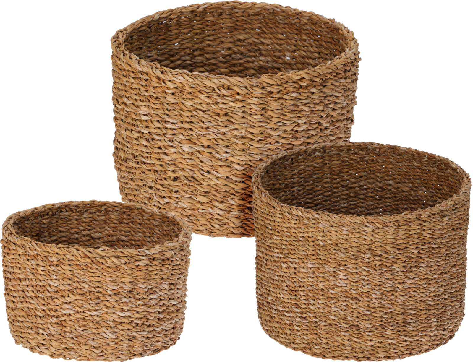 Karfa hringlaga seagrass lítill